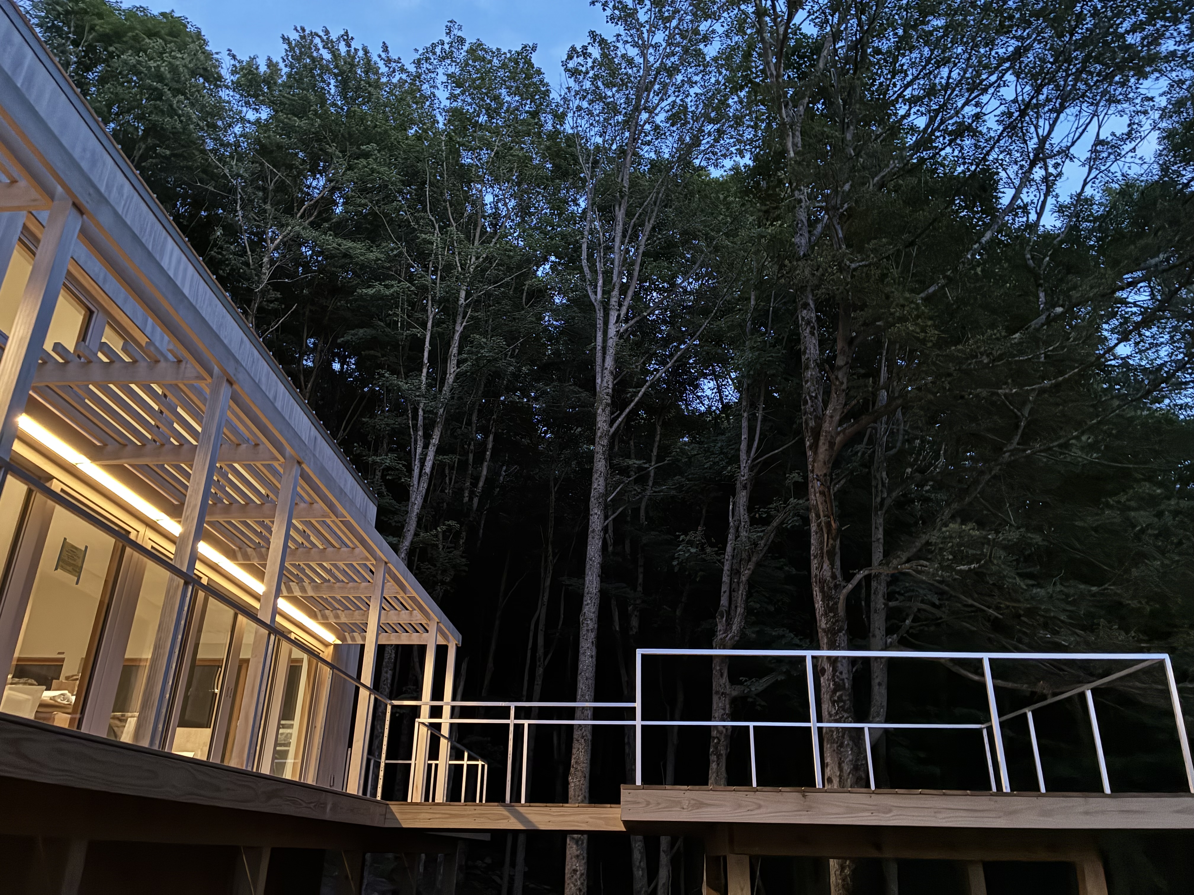 House in the woodds